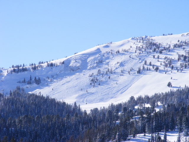 Natural Avalanche Lionhead 1-7-10 Natural Avalanche Lionhead 1-7-10