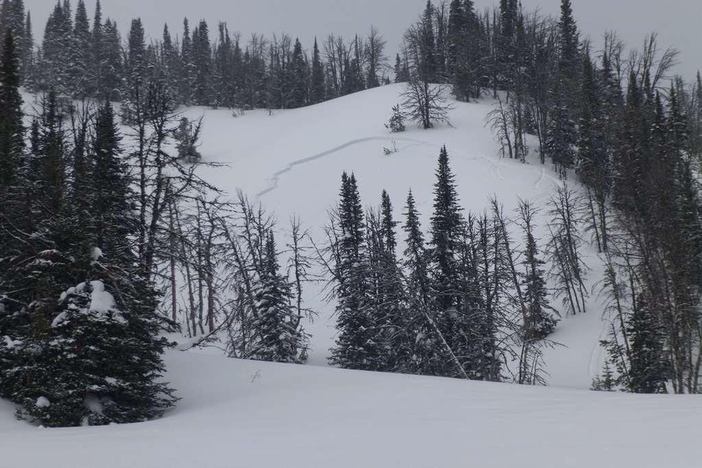 Remotely Triggered Avalanche near Carrot Basin Remotely Triggered Avalanche near Carrot Basin