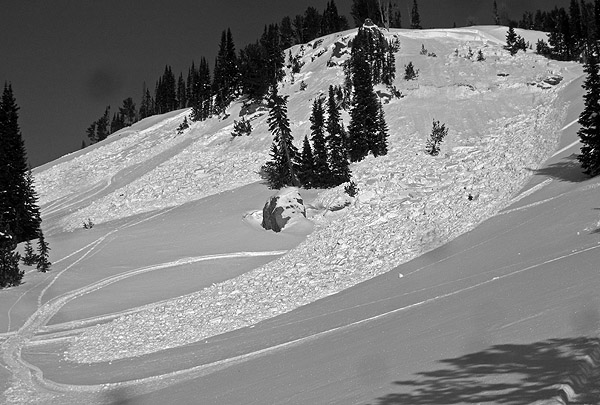 Sheep Creek Avalanche Sheep Creek Avalanche