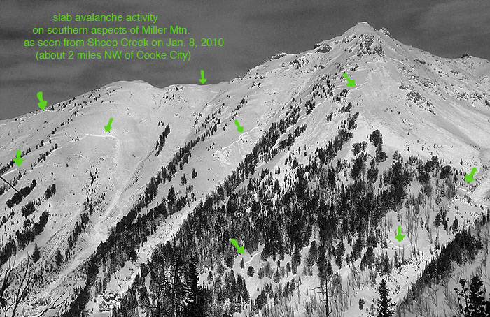 Natural Avalanche on Miller Mountain Near Cooke City Natural Avalanche on Miller Mountain Near Cooke City